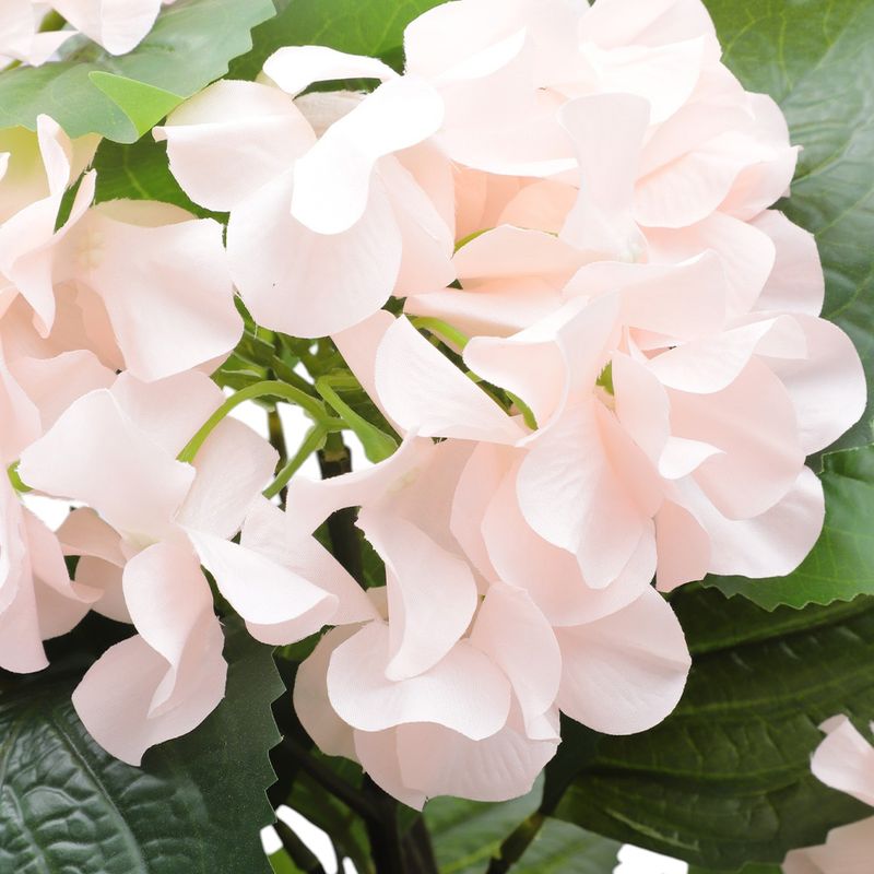 104726823-Arbusto-de-hortensias-con-maceta-80cm
