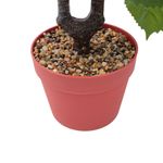 104726823-Arbusto-de-hortensias-con-maceta-80cm