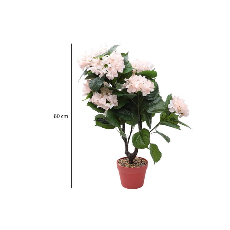 104726823-Arbusto-de-hortensias-con-maceta-80cm