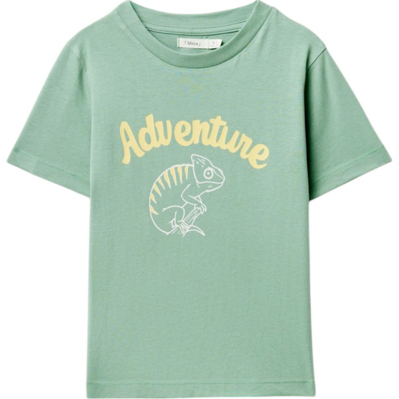 Camiseta-verde-con-estampado-para-niño-104834059