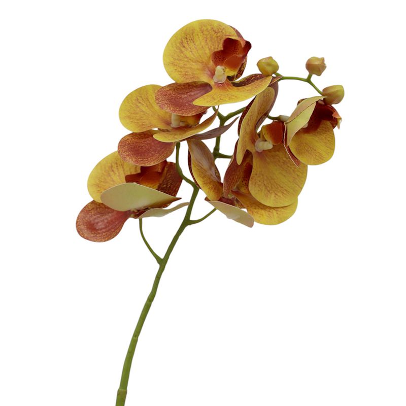 side view