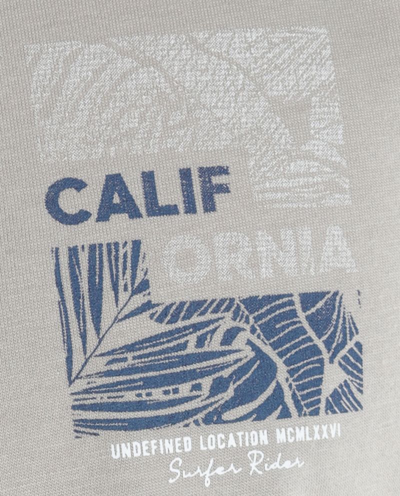 104794360-Camiseta-Orange-gris-con-estampado--California--para-hombre