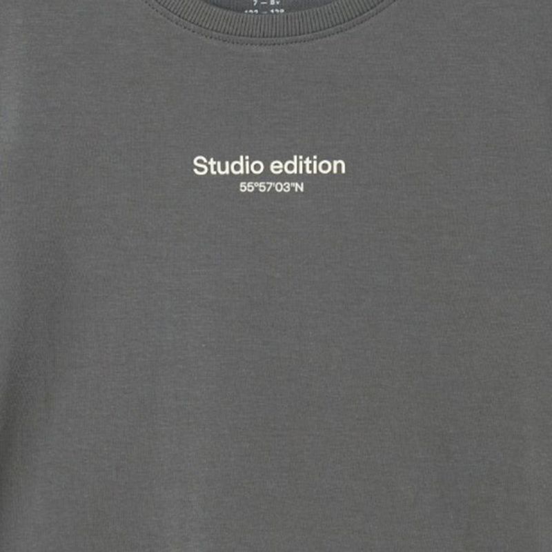104842472-Camiseta-gris-con-estampado-para-niño