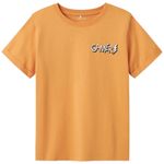 104842584-Camiseta-anaranjada-con-estampado-para-niño