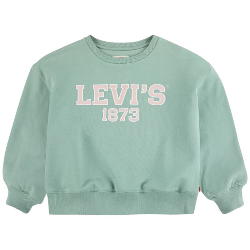 Sueter-verde-con-estampado-para-niña-104731353