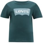Camiseta-verde-con-estampado-para-niño-104797148