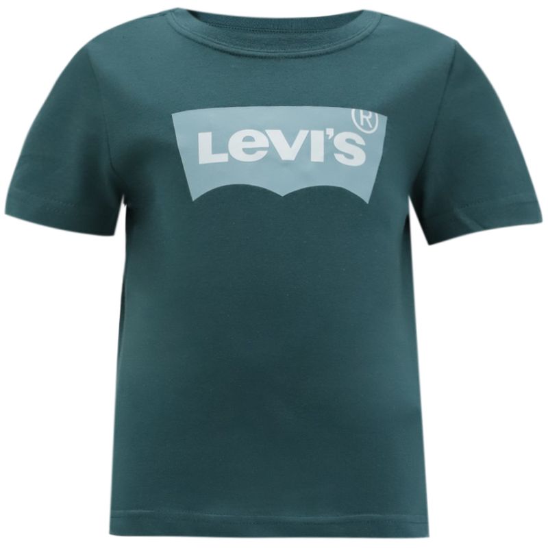 Camiseta-verde-con-estampado-para-niño-104797148