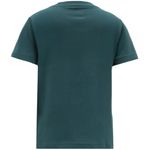 Camiseta-verde-con-estampado-para-niño-104797148