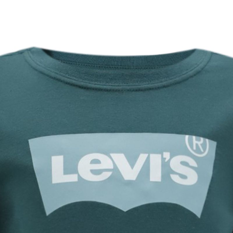 Camiseta-verde-con-estampado-para-niño-104797148