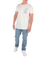 104825664-6.jpg