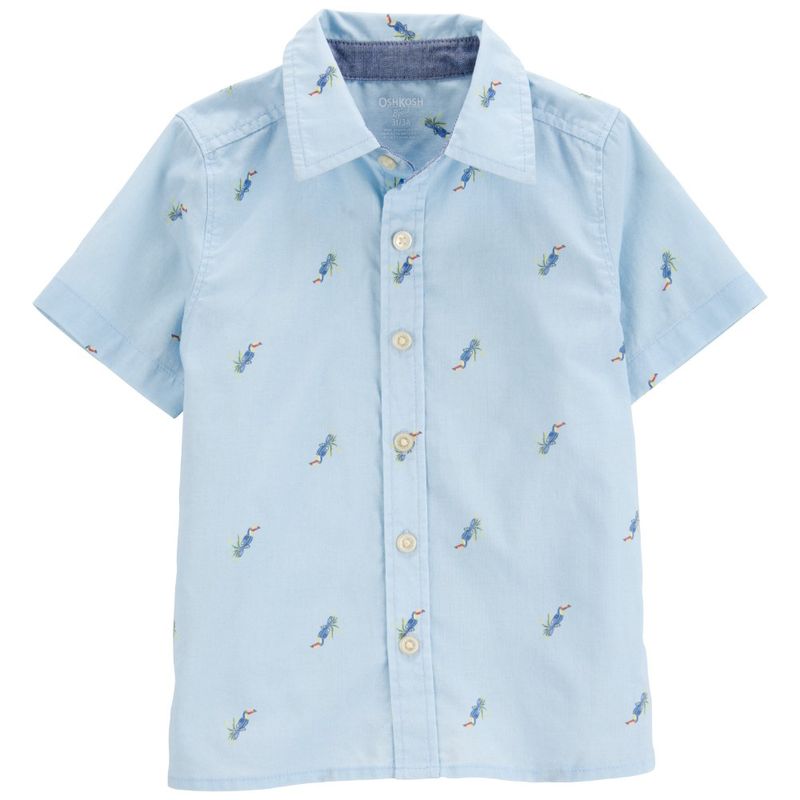 104882833-Camisa-celeste-con-estampado-para-niño