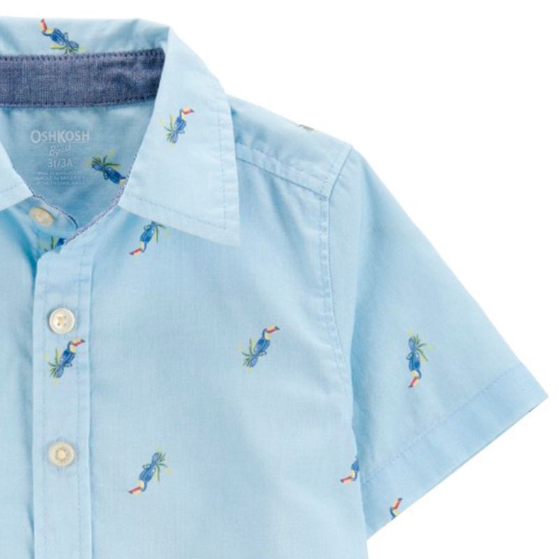 104882833-Camisa-celeste-con-estampado-para-niño