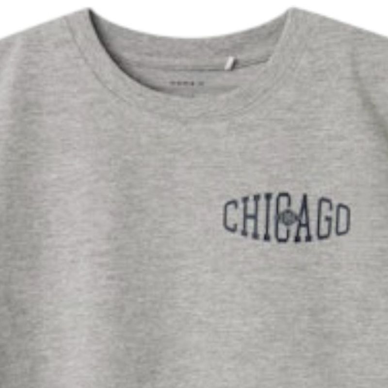 104887585-Camiseta-gris-con-estampado-para-niño
