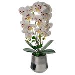104883530-Orquidea-artificial-blanca-30x16x56cm