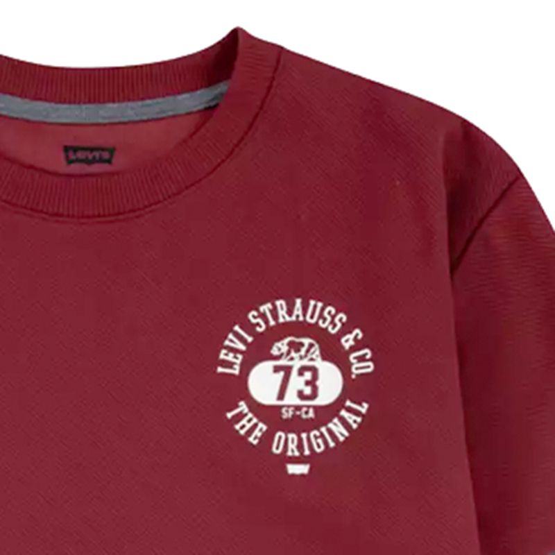 104797204-Camiseta-bicolor-estampada-para-niño