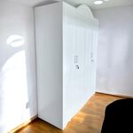image-6867d21bd24445b3940adc3a8b5a230c
