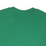 104754718-Camiseta-verde-con-estampado-para-niño