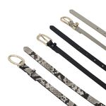104852132-Set-de-cinturones-Sfera-color-multicolor-para-mujer