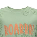 104812627-Camiseta-verde-con-estampado-para-niño