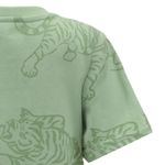 104812627-Camiseta-verde-con-estampado-para-niño