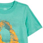 104893892-Camiseta-verde-con-estampado-para-niño