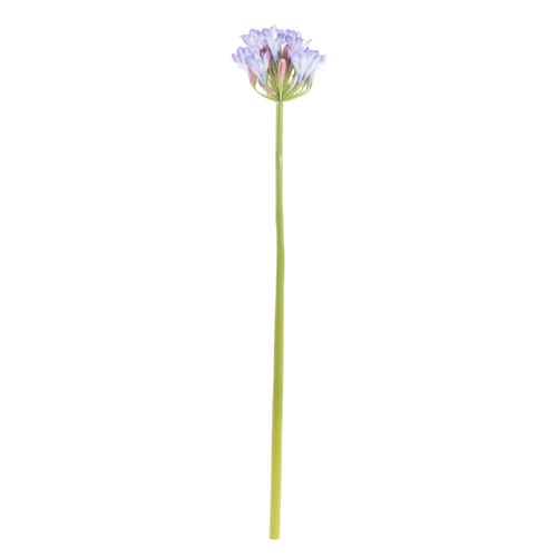 Lirio africano artificial surtido 74 cm