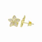 104890143---Set-de-aretes-y-cadena-con-dije-de-plata-con-baño-de-oro-para-mujer