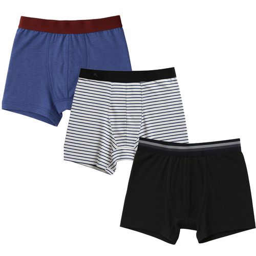 Set de 3 piezas de ropa interior multicolor con estampado para niño