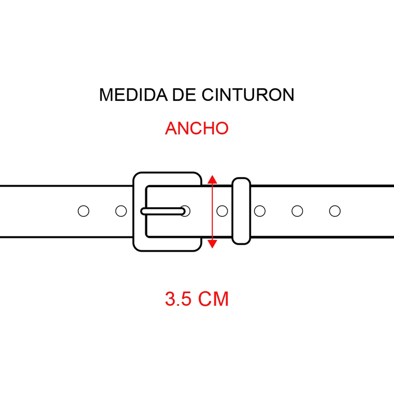 Cinturones-TH.jpg