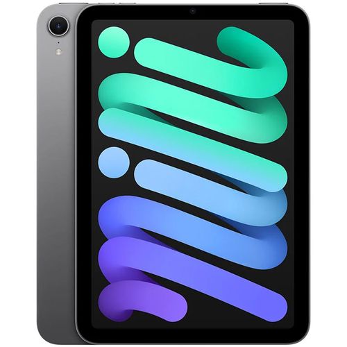 Apple iPad mini Wi-Fi 128 GB ROM gris