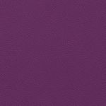 104972238-COLOR