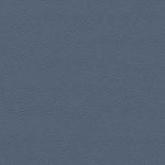 104943726-COLOR