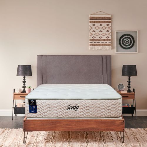 Cama Sealy Bosco confort intermedio firme Foam Encased