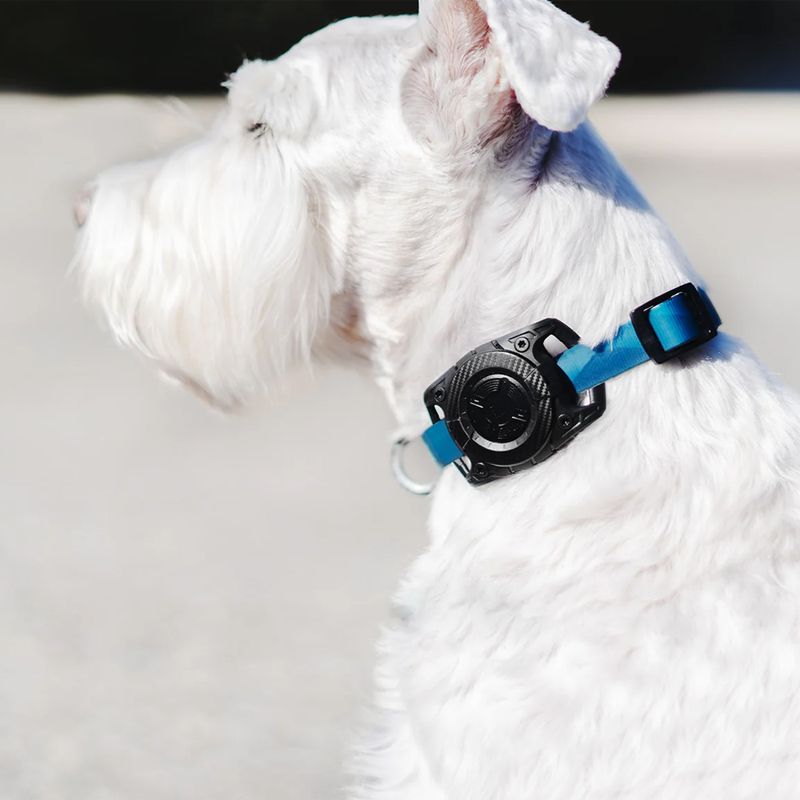 Estuche protector para localizador de mascotas-1756161397006