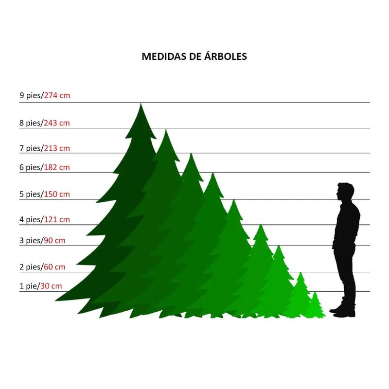 Arbol-medidas