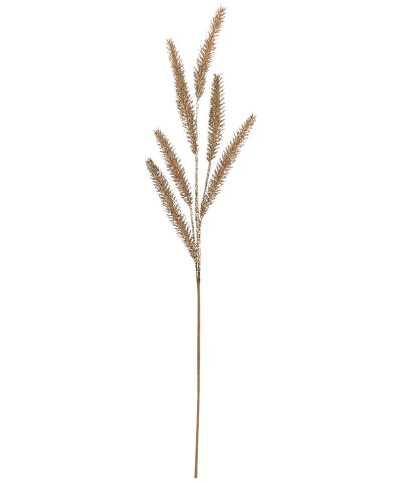 side view