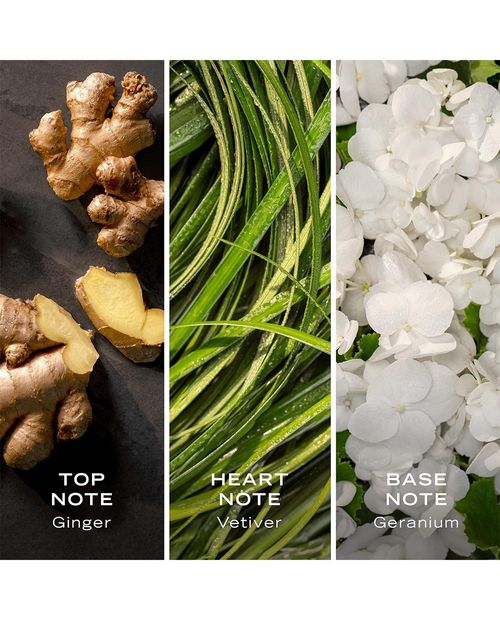 Nautica Classic Green Eau De Toilette 100ml