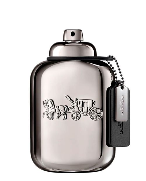 Coach Men Pure Platinum Parfum 100ml