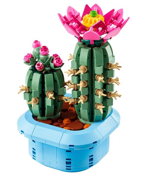 LEGO Botanicals Cactus en Flor 11509