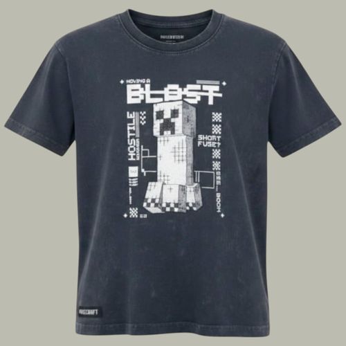 Camiseta gris con estampado de Minecraft para niño