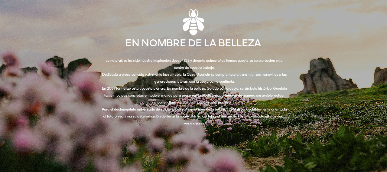 EN NOMBRE DE LA BELLEZA