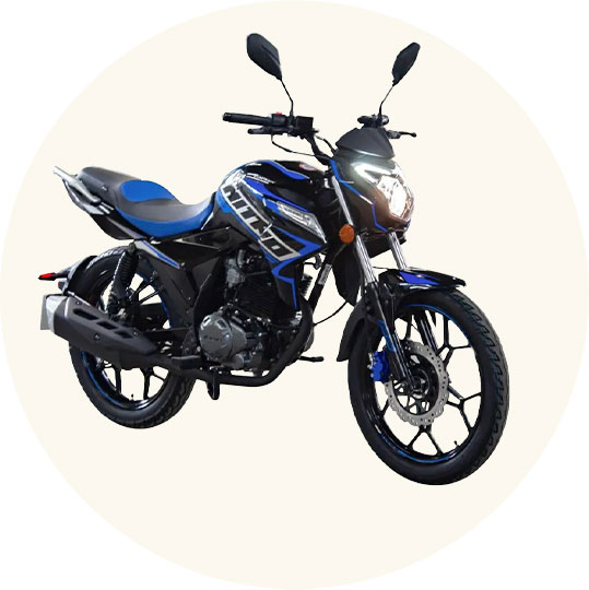 Cuatrimotos y vehículos recreativos todoterreno