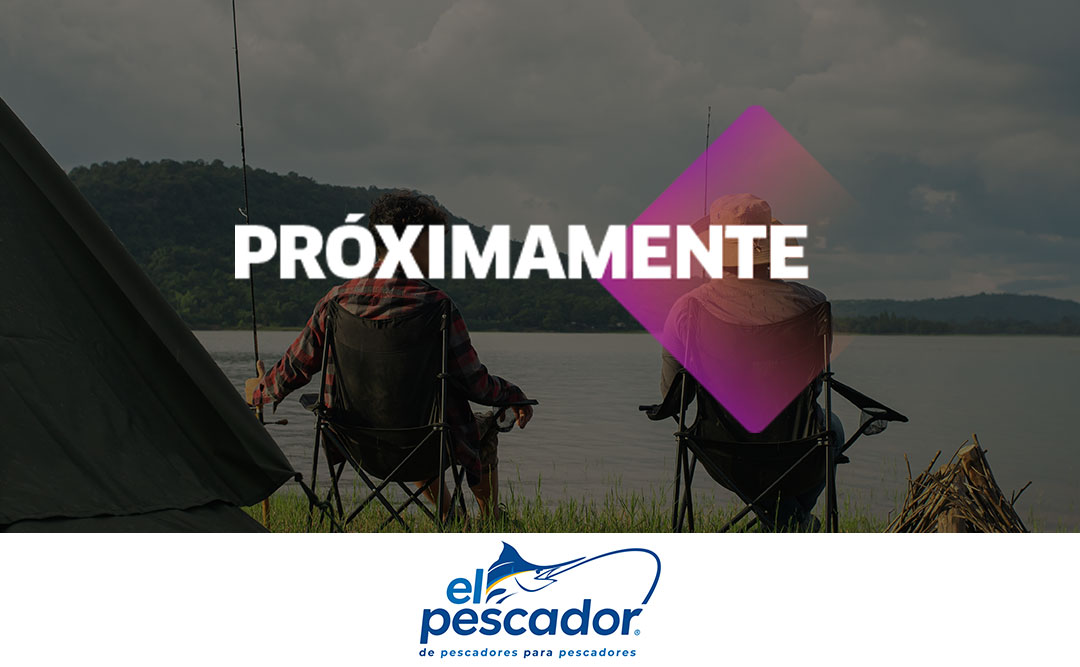 /10382?map=productClusterIds&utm_source=landing-mp-deportes&utm_campaign=mp-deportes&utm_medium=bloque-5
