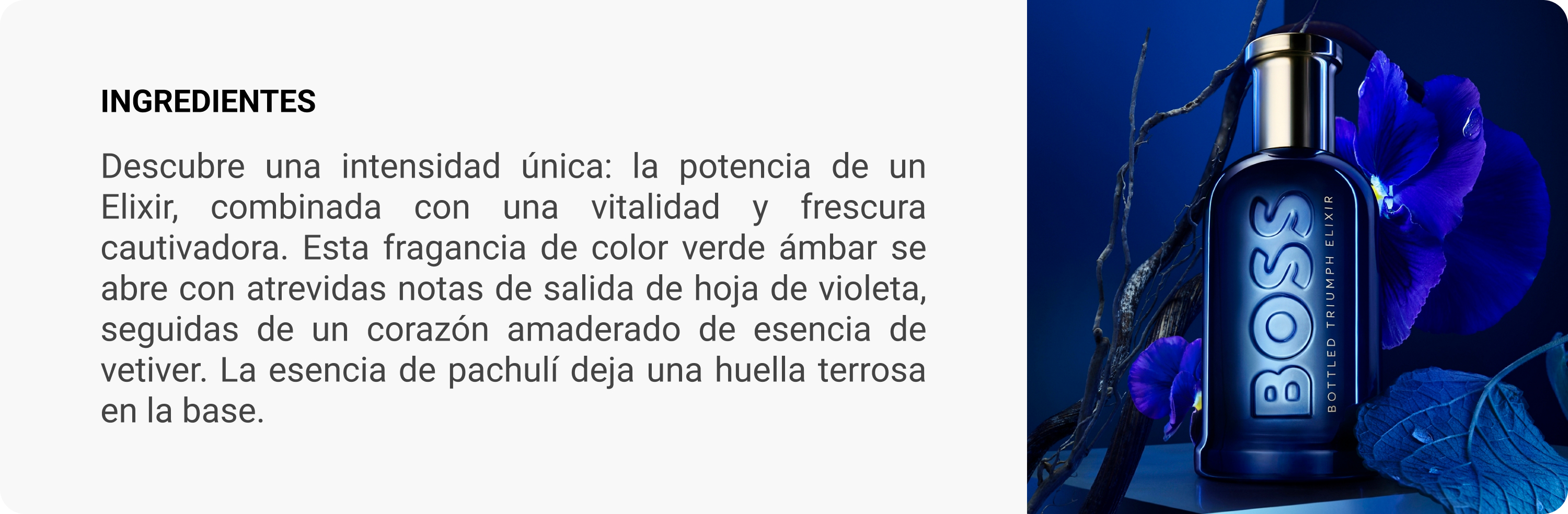 descripcion de triumph elixir